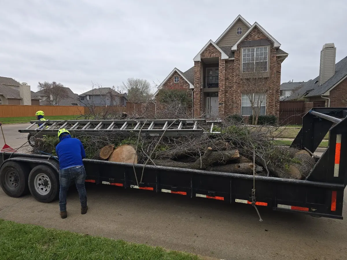 Expert Tree Removal with proper safety equipment in Mc Andrews